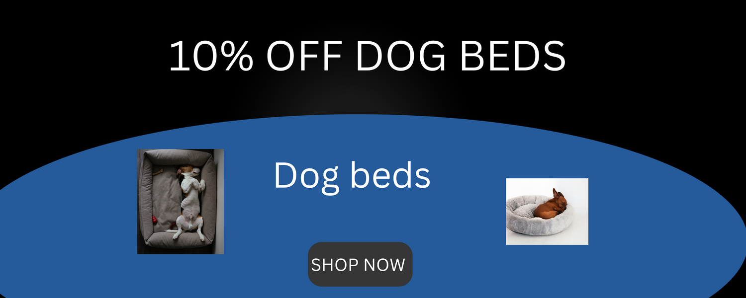 10% off dog beds