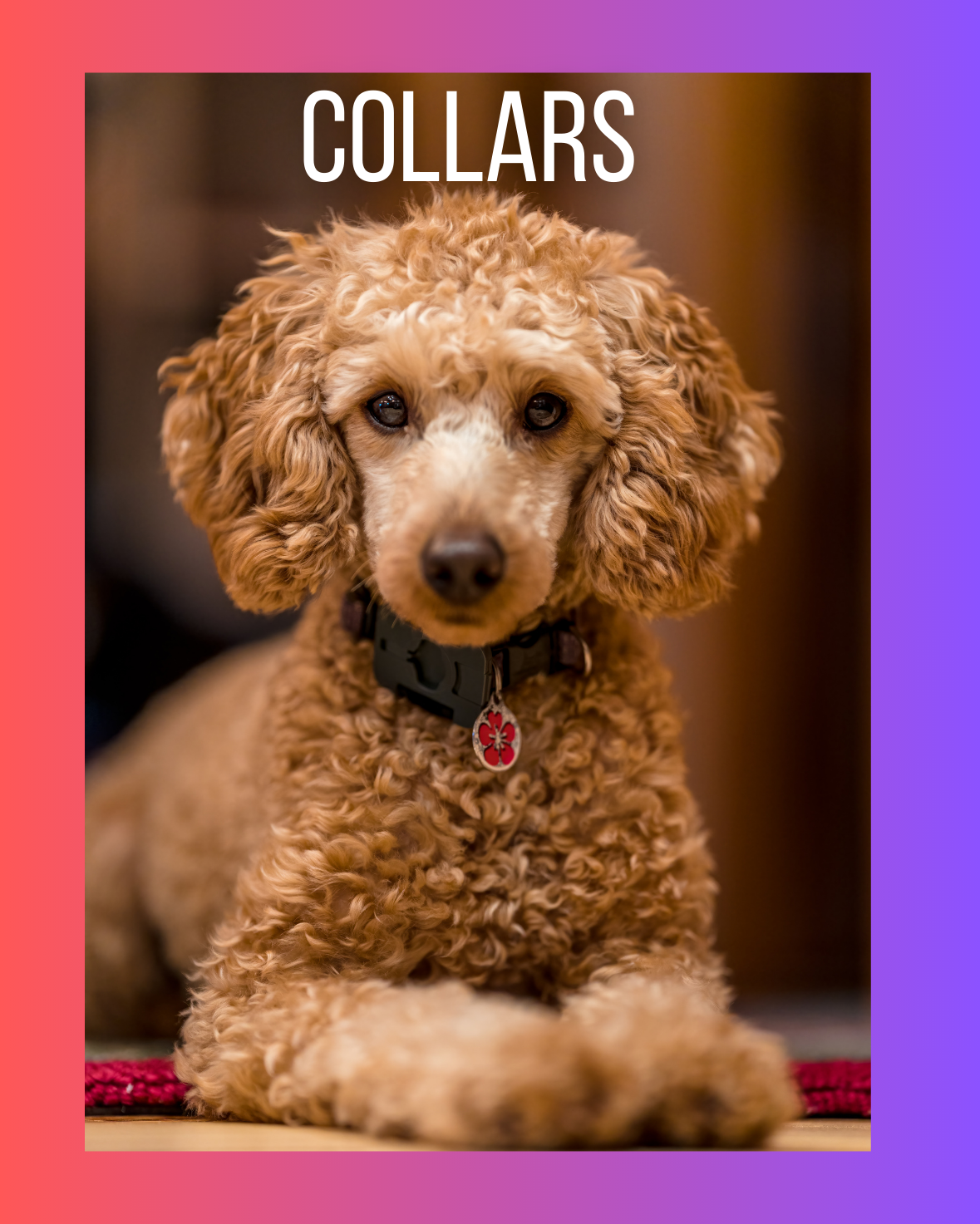 Collars