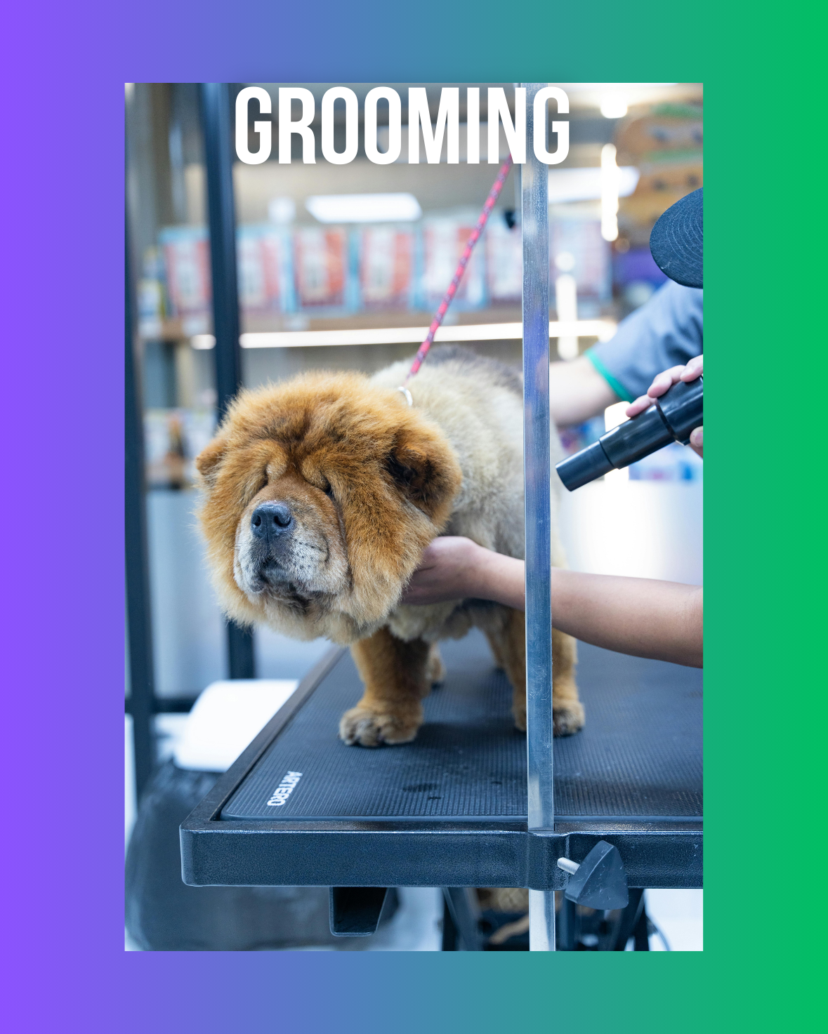 Grooming