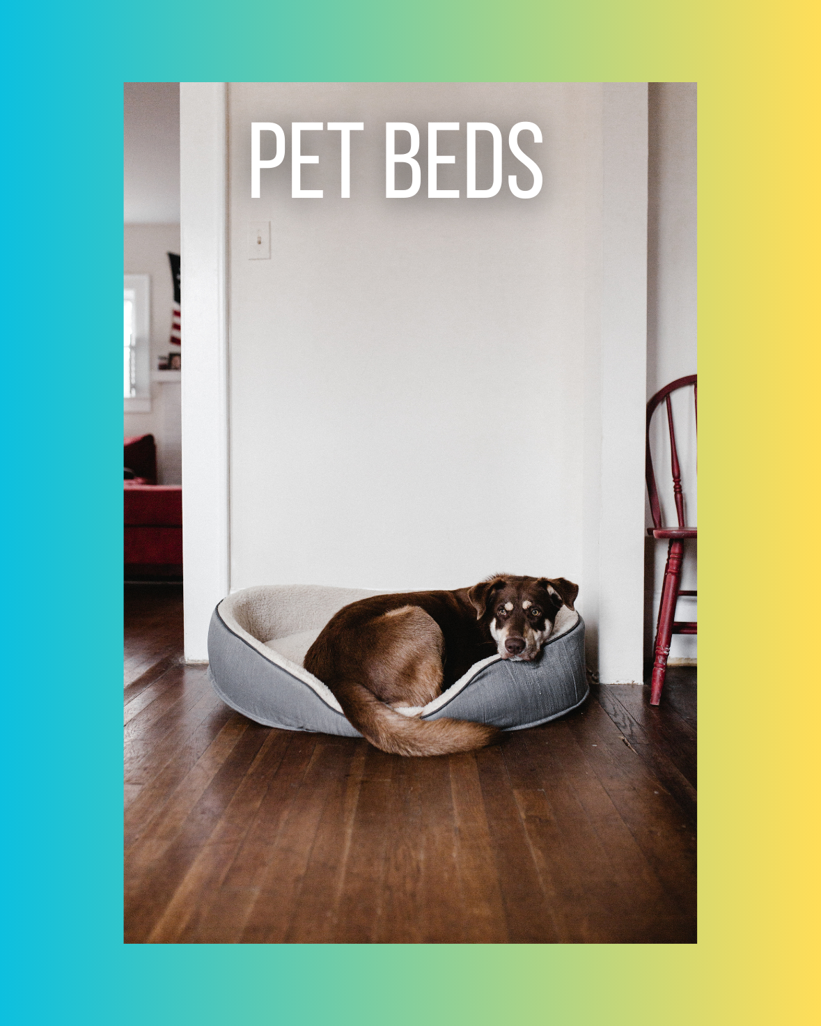 Pet beds