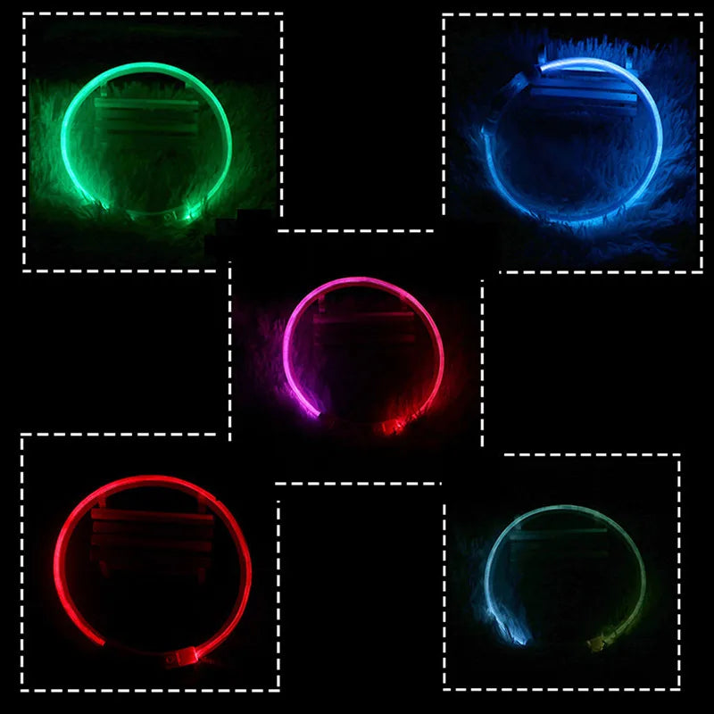 Led Dog Collar Light up USB Cat and Dog Collar 3 Modes Led Light Light up Loss Prevention LED Collar Dog Pet Dog Accessories