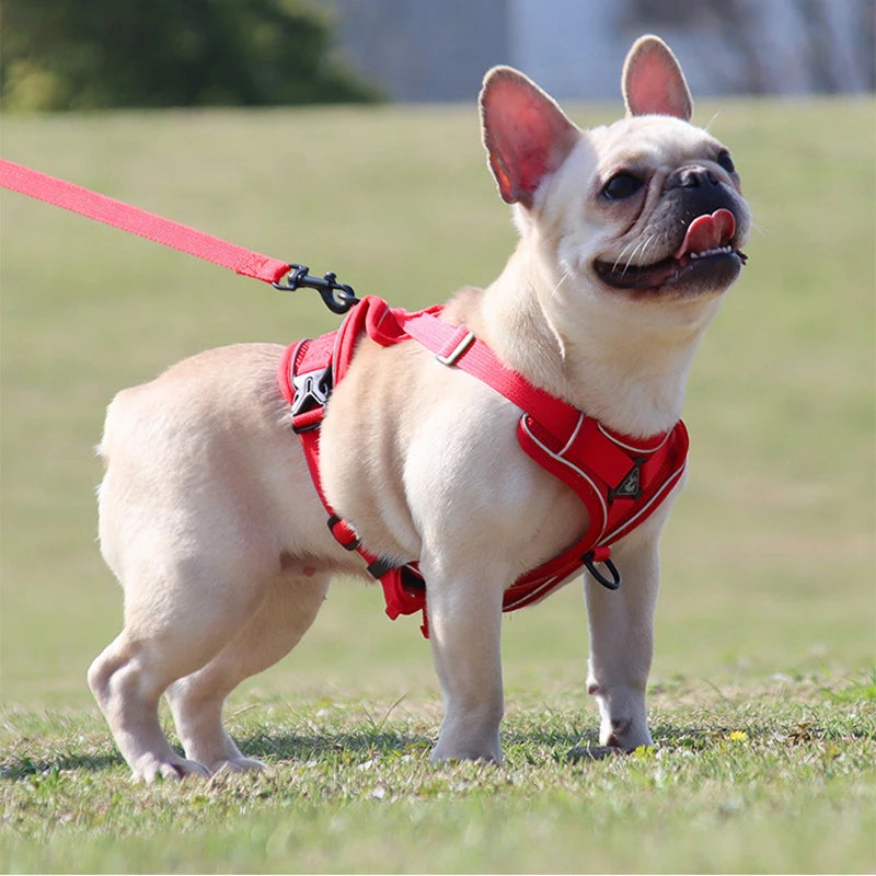 Dog Harness Leash Set Adjustable Pet Chest Strap For Small Medium Dogs Cats Reflective Puppy Harness Vest French-Bulldog York