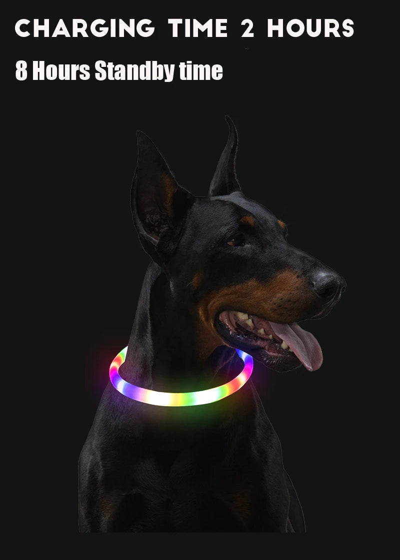 Led Dog Collar Light up USB Cat and Dog Collar 3 Modes Led Light Light up Loss Prevention LED Collar Dog Pet Dog Accessories