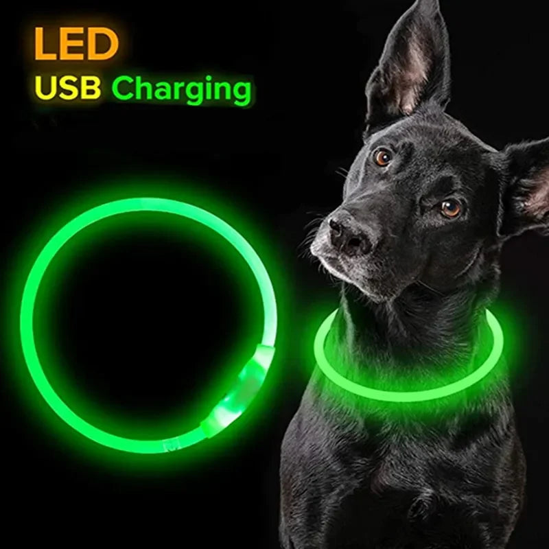 Led Dog Collar Light up USB Cat and Dog Collar 3 Modes Led Light Light up Loss Prevention LED Collar Dog Pet Dog Accessories