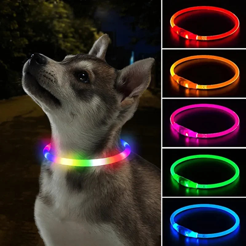 Led Dog Collar Light up USB Cat and Dog Collar 3 Modes Led Light Light up Loss Prevention LED Collar Dog Pet Dog Accessories