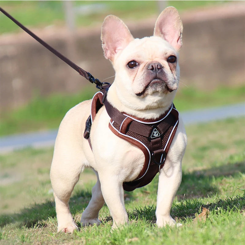 Dog Harness Leash Set Adjustable Pet Chest Strap For Small Medium Dogs Cats Reflective Puppy Harness Vest French-Bulldog York