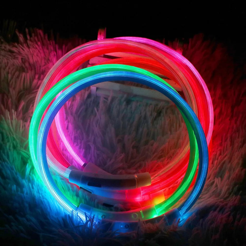 Led Dog Collar Light up USB Cat and Dog Collar 3 Modes Led Light Light up Loss Prevention LED Collar Dog Pet Dog Accessories