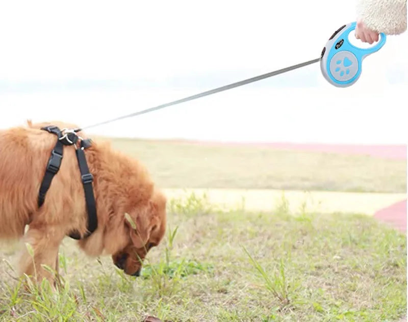 5-meter-long Pet Leash with Automatic Telescopic Dog Leash