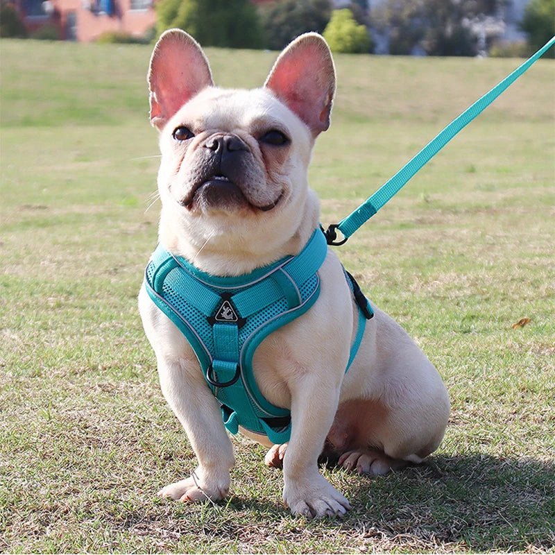 Dog Harness Leash Set Adjustable Pet Chest Strap For Small Medium Dogs Cats Reflective Puppy Harness Vest French-Bulldog York