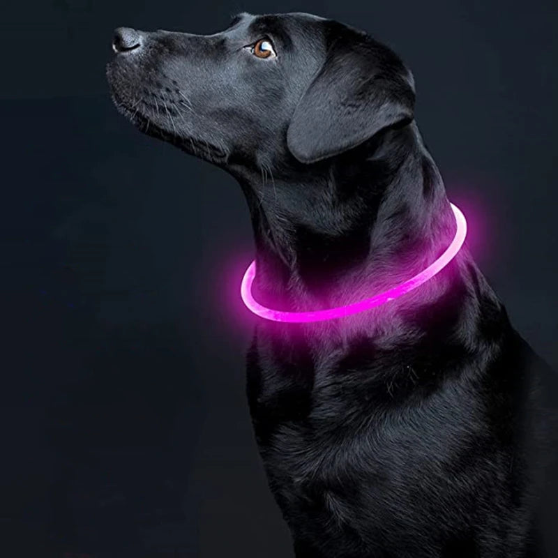 Led Dog Collar Light up USB Cat and Dog Collar 3 Modes Led Light Light up Loss Prevention LED Collar Dog Pet Dog Accessories