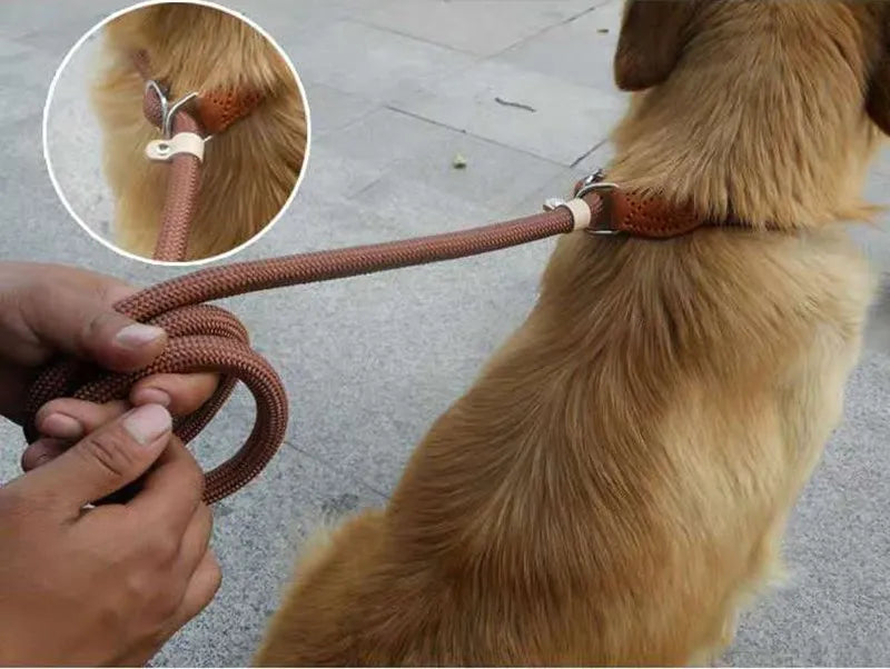 Dog Leash Slip Rope Lead Leash Heavy Duty Braided Rope Adjustable Loop Collar Training Leashes for Medium Large Dogs