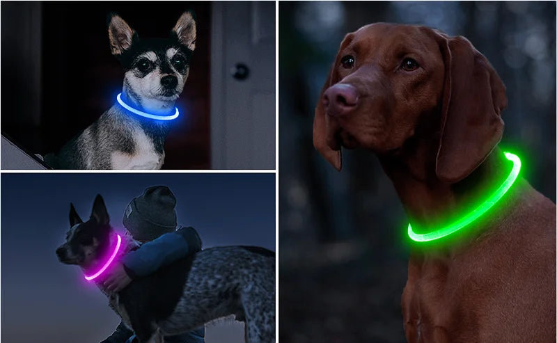 Led Dog Collar Light up USB Cat and Dog Collar 3 Modes Led Light Light up Loss Prevention LED Collar Dog Pet Dog Accessories