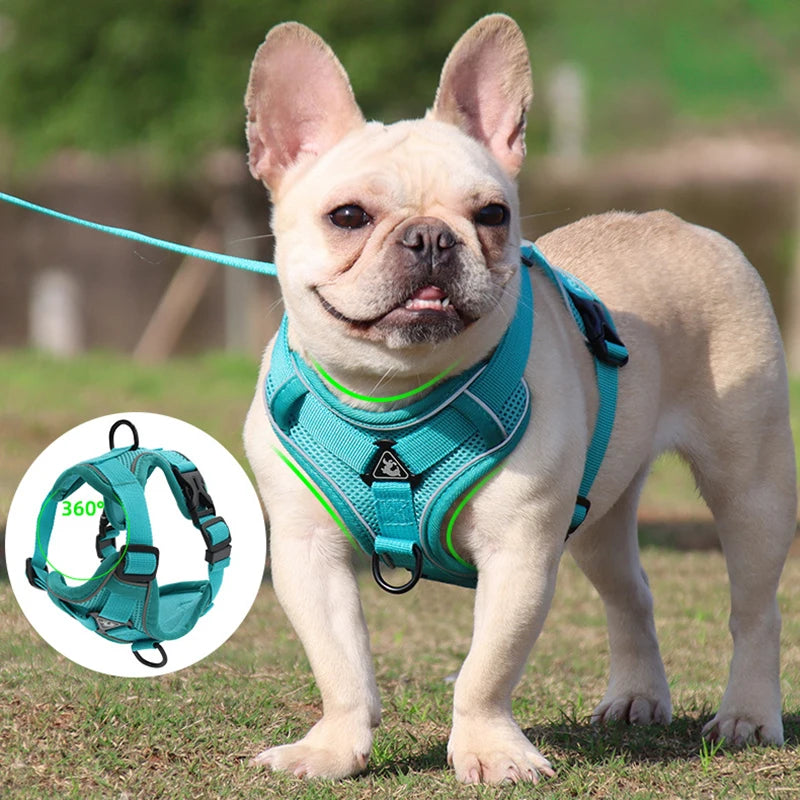 Dog Harness Leash Set Adjustable Pet Chest Strap For Small Medium Dogs Cats Reflective Puppy Harness Vest French-Bulldog York